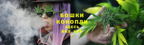 скорость Белокуриха